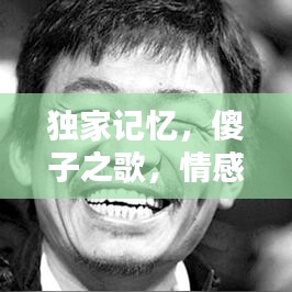 独家记忆，傻子之歌，情感旋律触动人心