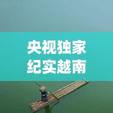 央视独家纪实越南，央视纪录片越南战争完整版 