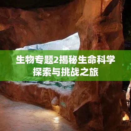 资质认证 第92页