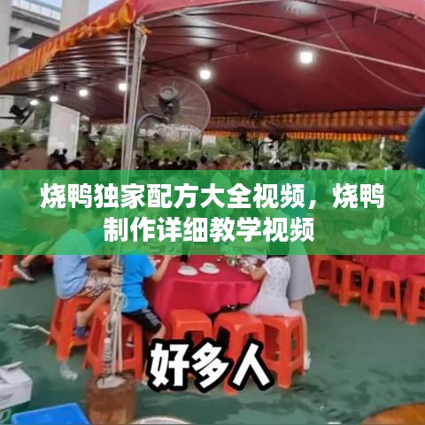 烧鸭独家配方大全视频，烧鸭制作详细教学视频 
