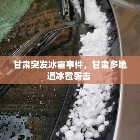 在线留言 第89页