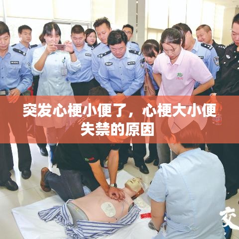 突发心梗小便了，心梗大小便失禁的原因 