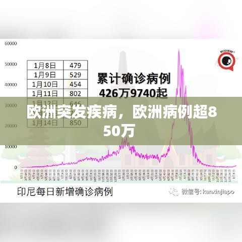 欧洲突发疾病，欧洲病例超850万 