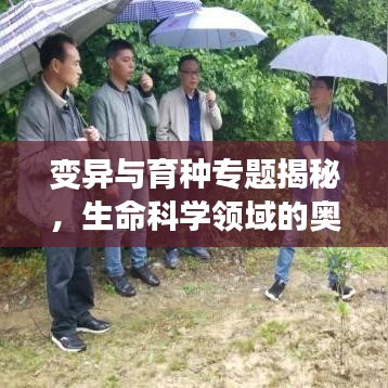 变异与育种专题揭秘，生命科学领域的奥秘探索