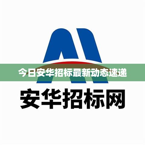 今日安华招标最新动态速递