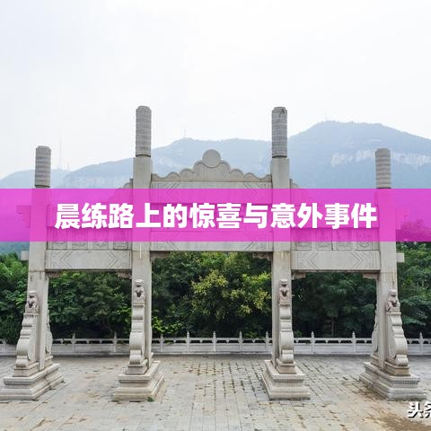 晨练路上的惊喜与意外事件
