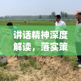 讲话精神深度解读，落实策略、深化理解与积极行动指南