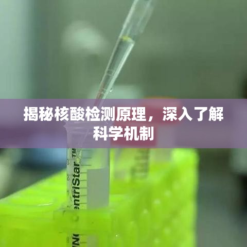 朴素无华 第2页