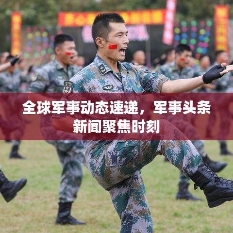 全球军事动态速递，军事头条新闻聚焦时刻