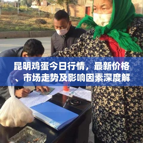 昆明鸡蛋今日行情，最新价格、市场走势及影响因素深度解析