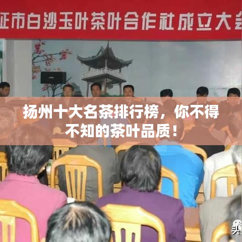 扬州十大名茶排行榜，你不得不知的茶叶品质！