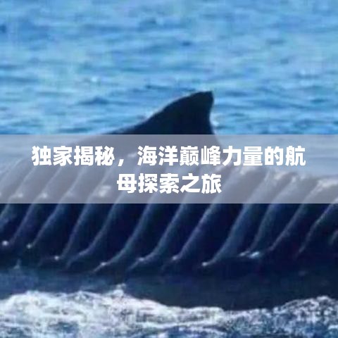 独家揭秘，海洋巅峰力量的航母探索之旅