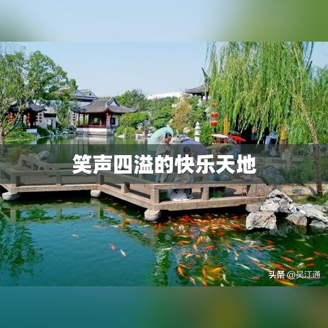 笑声四溢的快乐天地