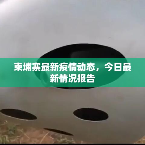 生离死别 第2页