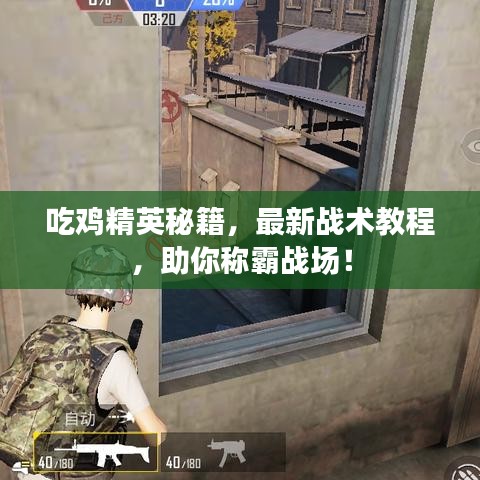 吃鸡精英秘籍，最新战术教程，助你称霸战场！