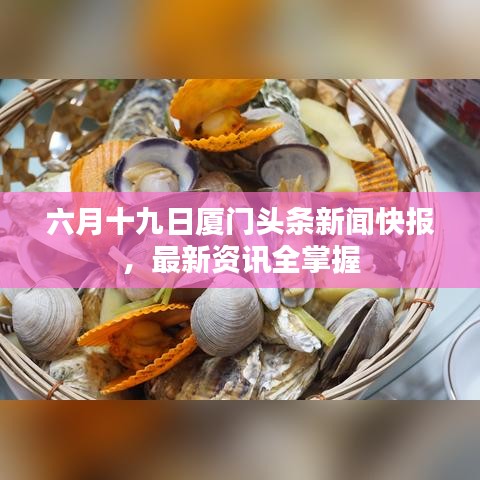 六月十九日厦门头条新闻快报，最新资讯全掌握