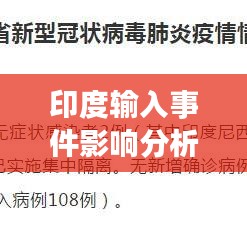 印度输入事件影响分析，如何应对国内突发挑战？