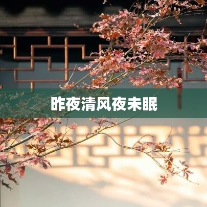 漫天飞舞 第2页