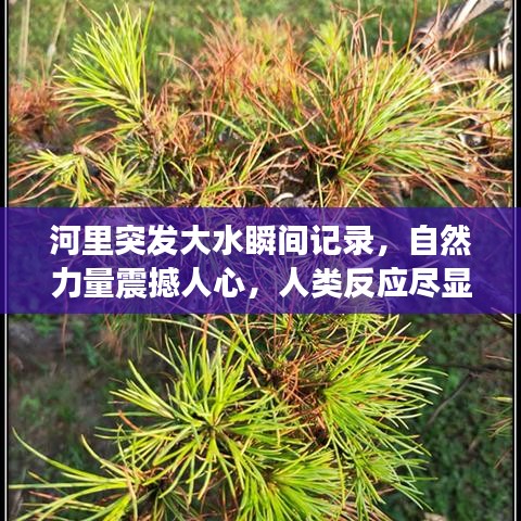 钝学累功 第2页