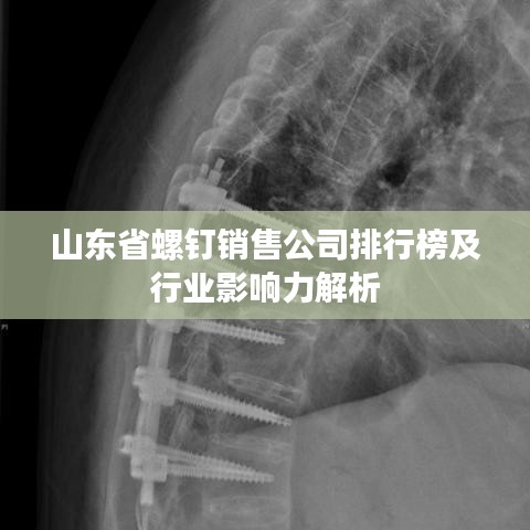 司空见惯 第2页