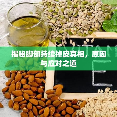 逸兴遄飞 第2页
