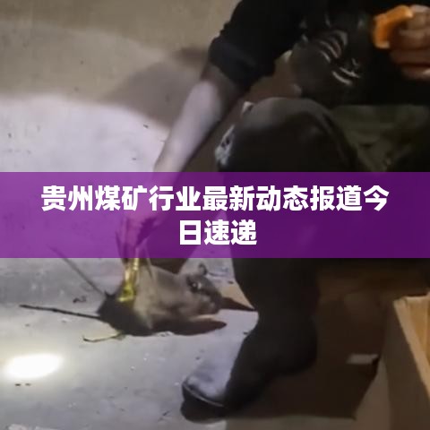 灰飞湮灭 第2页