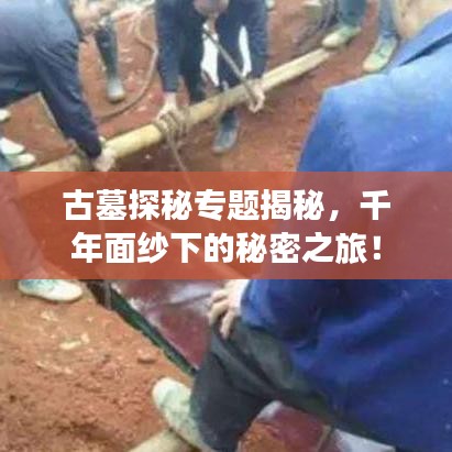 日就月将 第2页