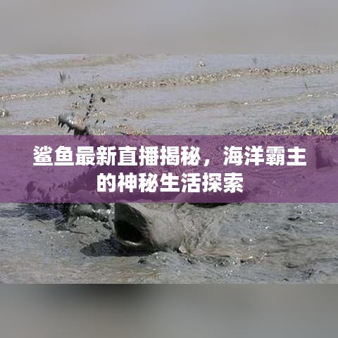 初遇在故事开头 第2页