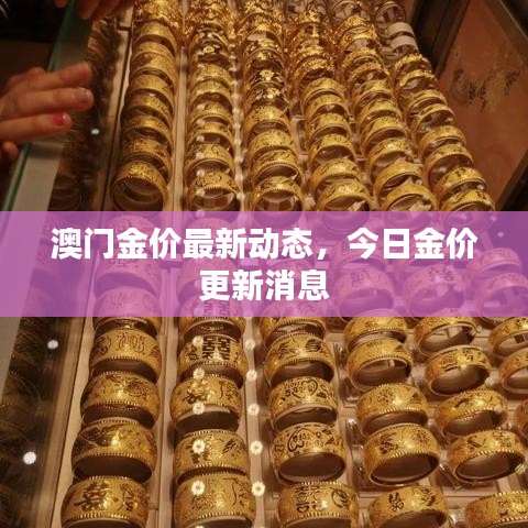 风驰电掣 第2页