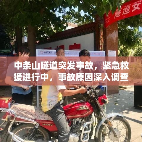 凤凰于飞 第2页
