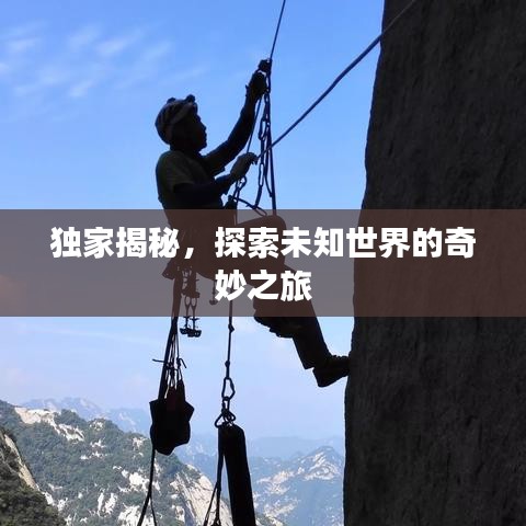 独家揭秘，探索未知世界的奇妙之旅