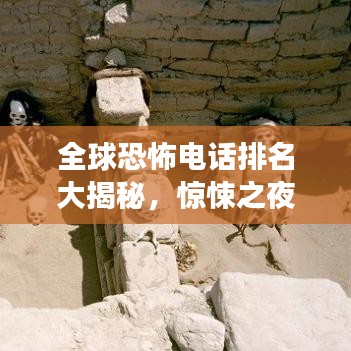 衣不兼采 第2页