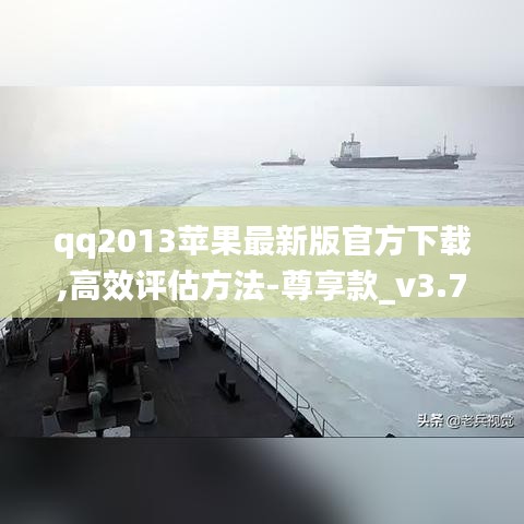 办公软件血流成河单机版与扣扣软件官方下载,定制化执行方案分析_AR版_v8.689的效率提升解析