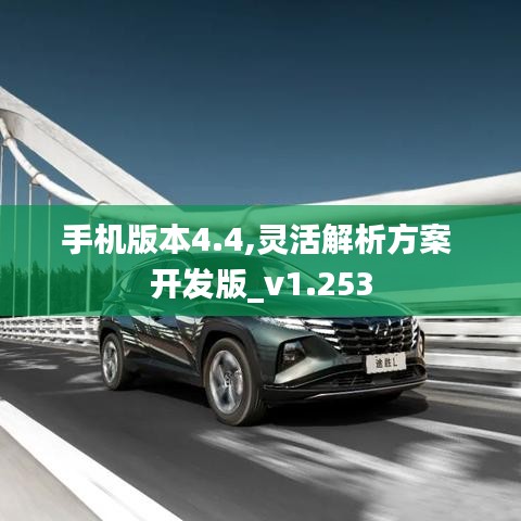 手机版本4.4,灵活解析方案 开发版_v1.253