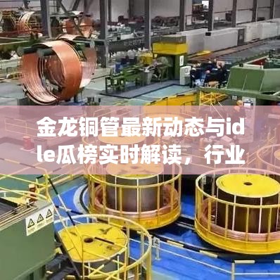 金龙铜管最新动态与idle瓜榜实时解读，行业趋势分析与风险防范指南