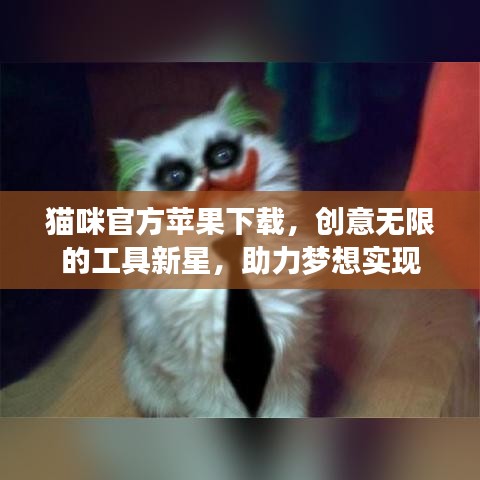 猫咪官方苹果下载，创意无限的工具新星，助力梦想实现