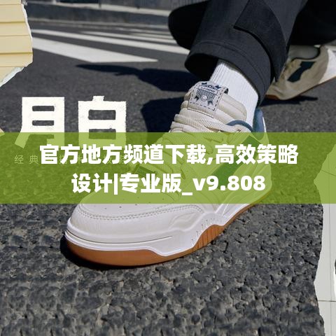 官方地方频道下载,高效策略设计|专业版_v9.808