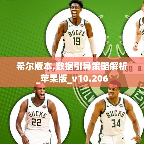 希尔版本,数据引导策略解析_苹果版_v10.206