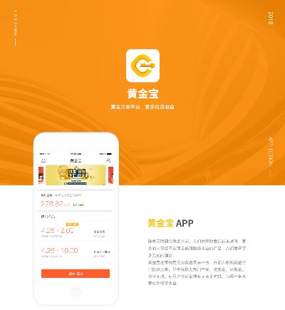 增金宝app官方下载,定制化执行方案分析_Lite_v6.603