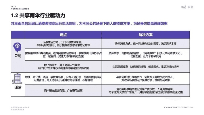 共享雨伞官方下载，替代知名软件的全新选择，全面数据策略解析XE版_v9.205