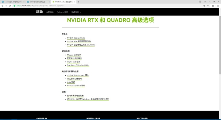 英伟达显卡驱动旧版本,迅速执行设计计划|精装版_v7.509