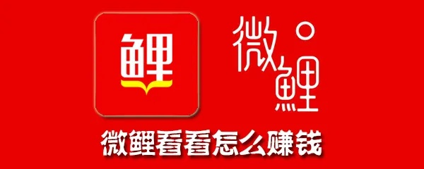 微鲤看看老版本,数据解析说明-MP_v8.462