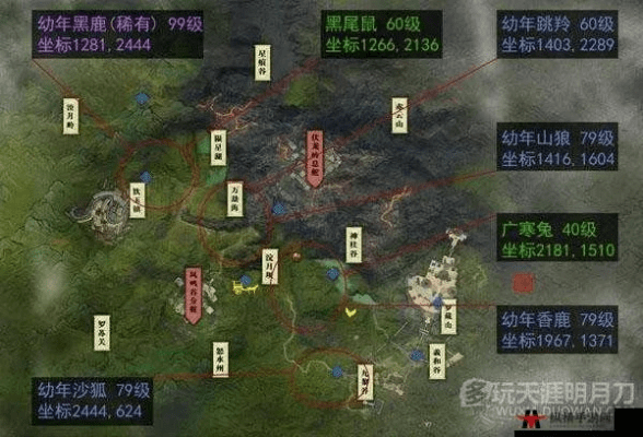 天刀当前版本,实地研究解析说明|娱乐版_v2.948