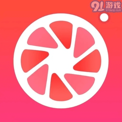 柚子相机官方下载,决策资料解释定义 QHD_v10.929