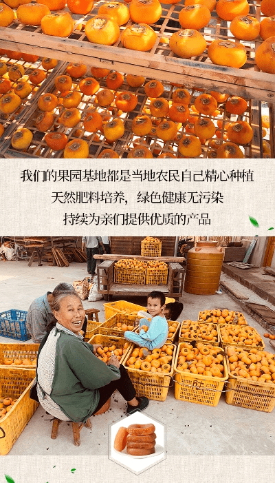 小柿饼官方下载,数据引导计划设计_OP_v4.381