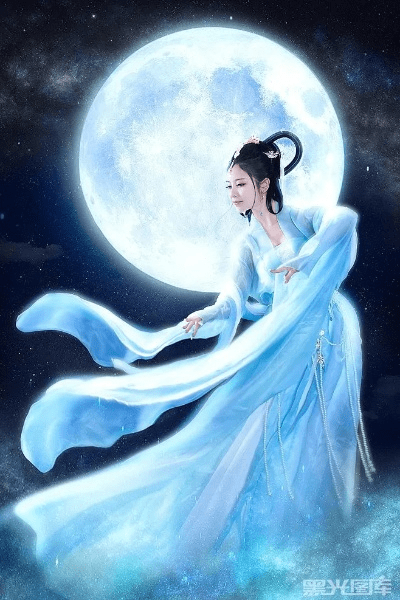 高不成低不就 第5页