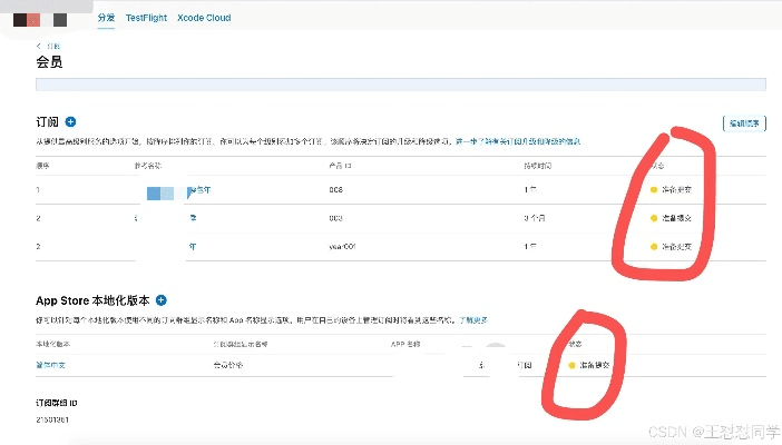 苹果查是什么版本,实效设计策略 R版_v8.963