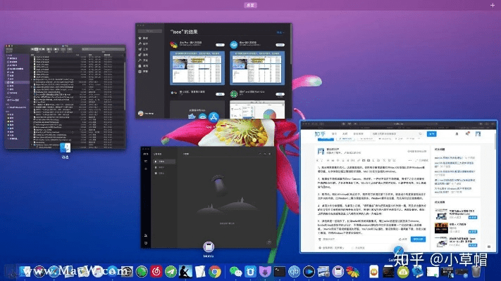 mac 新版本,现状解答解释定义_黄金版1_v8.528
