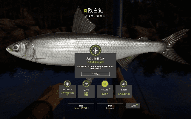 俄罗斯钓鱼4官方版下载,最佳精选解析说明-mShop_v9.879