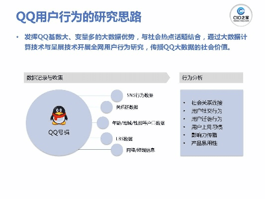 qq2015旧版本,深度应用策略数据_W_v1.677